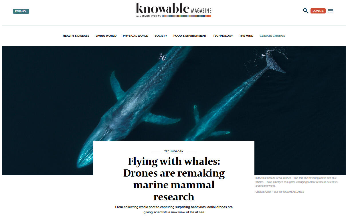 Knowable Magazine: Flying with whales: Drones are remaking marine mammal research Knowable Magazine: Flying with whales: Drones are remaking marine mammal research