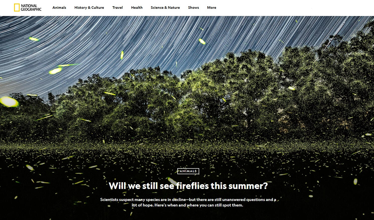 National Geographic: Will we still see fireflies this summer? National Geographic: Will we still see fireflies this summer?