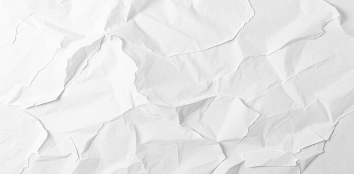 Scientific American: These spiders weave themselves giant doppelgängers to scare away predators